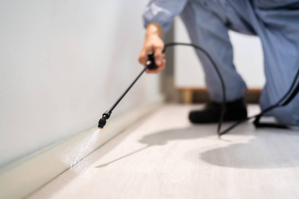 Licensed Rodent Control service in Delano, CA - Nex Pest Control