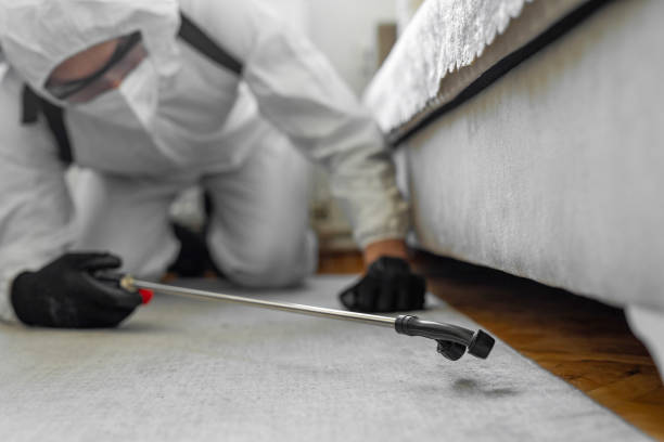 Professional Rodent Control technician working in Delano, CA