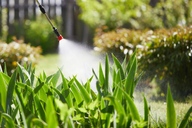 24/7 Emergency Rodent Control experts in Delano, CA